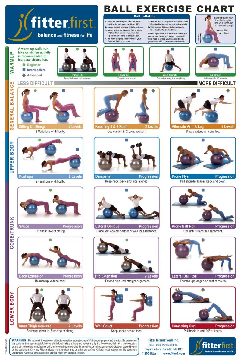 Find The Right Weighted Ball For Exercise & Fitness: Exercises And Uses For Weighted Yoga Balls