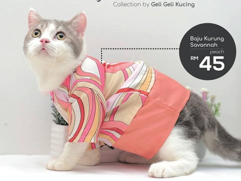 Finding the Purrfect Pair of Cat 2 Pants for Your Feline Companion