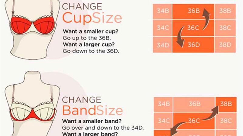 Finding the Right Cup Size for Every Athlete: The Complete Guide to Cup Sizing for Youth & Adults