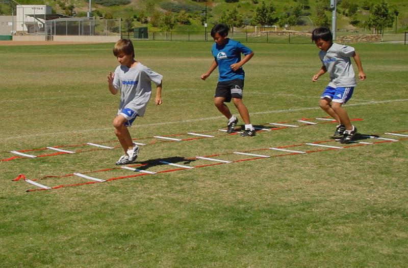 Football Training Equipment Essentials for Optimal Team Performance: Steel Your Game with These Key Practice Cones