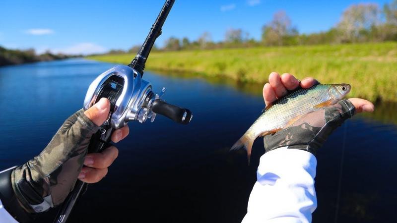 Freshwater Fishing Essentials: The 15 Must-Have Tackle Items For Freshwater Anglers