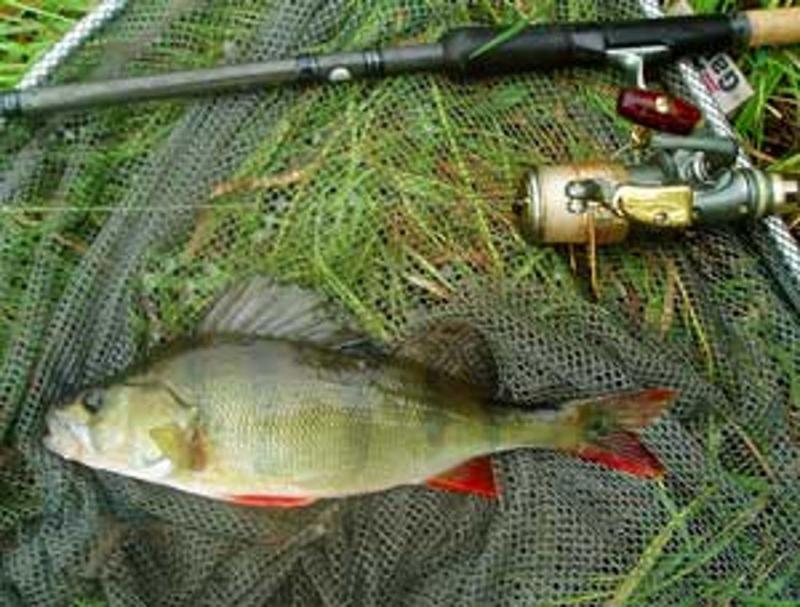 Freshwater Fishing Essentials: The 15 Must-Have Tackle Items For Freshwater Anglers