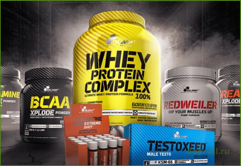 From Pro Athletes to Weekend Warriors: How Can Biosteel Sports Nutrition Fuel Your Active Lifestyle