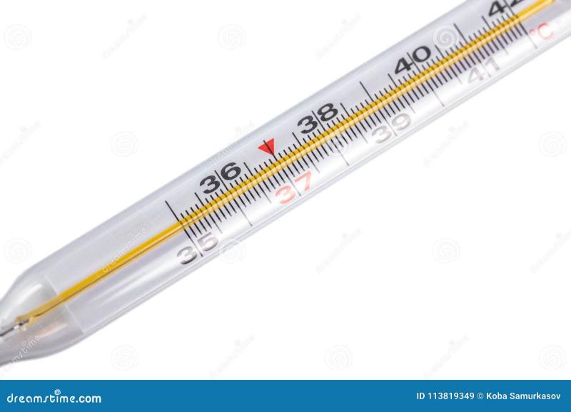 Galileo Glass Thermometers: The Colorful Columns That Measure Temperature