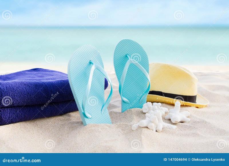 Get Ready For Summer: The Top Reef Flip Flop Styles You Need