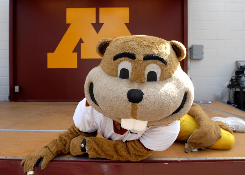 Gopher Apparel Around Minnesota: Where To Find The Best Golden Gopher Gear