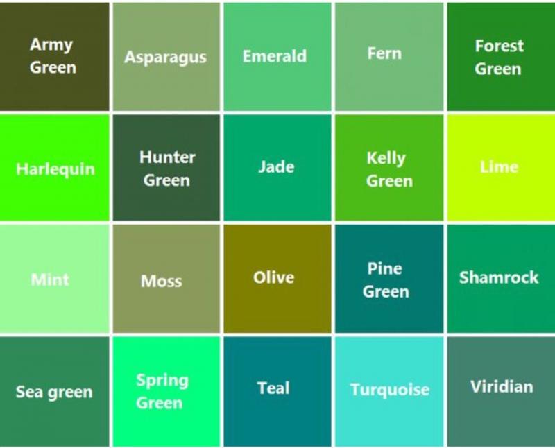 Green Mouthguards: Are They Better Than Traditional Colors