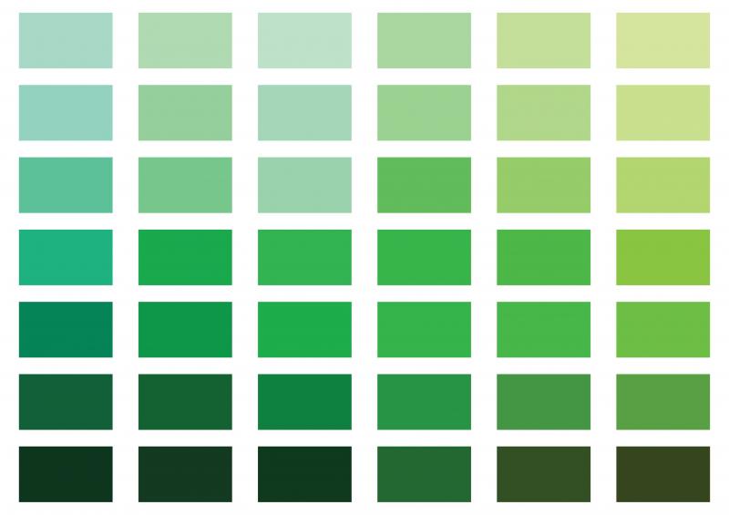 Green Mouthguards: Are They Better Than Traditional Colors