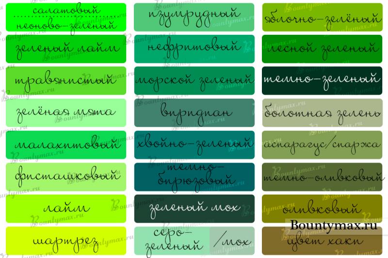 Green Mouthguards: Are They Better Than Traditional Colors