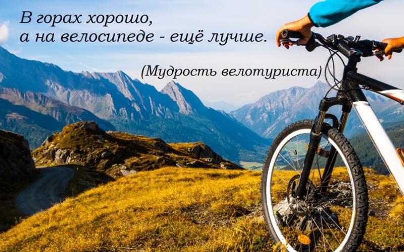 GT Mountain Bikes For Sale: 15 Must-Know Tips Before Buying The Perfect Ride