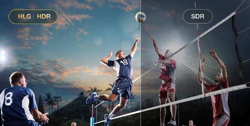 Has Jonathan Soros Revolutionized Sports Through Athletes Unlimited: The New Age of Unlimited Volleyball is Here