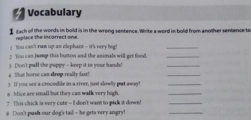 Has Your Kid Ever Wondered About Our Nation