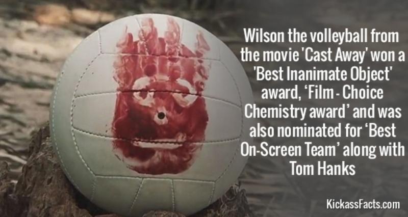 Have You Met Wilson, The Iconic Volleyball From Cast Away: The Story Behind Tom Hanks