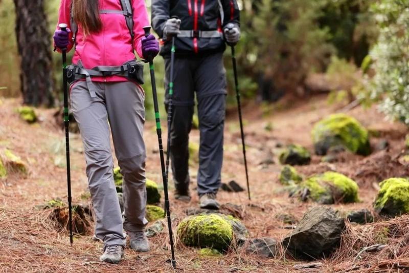 Hiking In Style & Comfort This Summer: The 15 Best Columbia Hiking Shoes For Women
