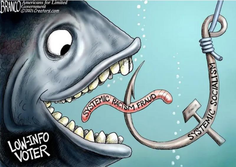 Hook, Line & Sinker: How Steinhauser