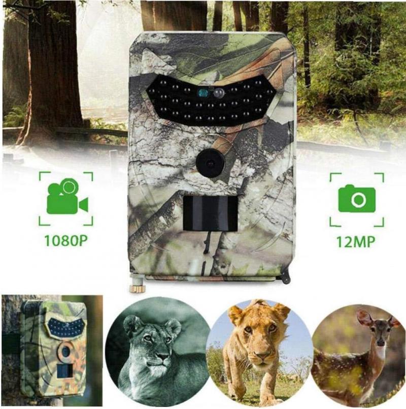 Hook Readers In With This Wildgame Trail Camera. : Discover 15 Amazing Features Of The Terra Extreme