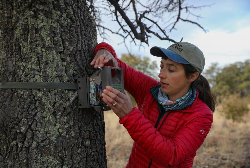 Hook Readers In With This Wildgame Trail Camera. : Discover 15 Amazing Features Of The Terra Extreme