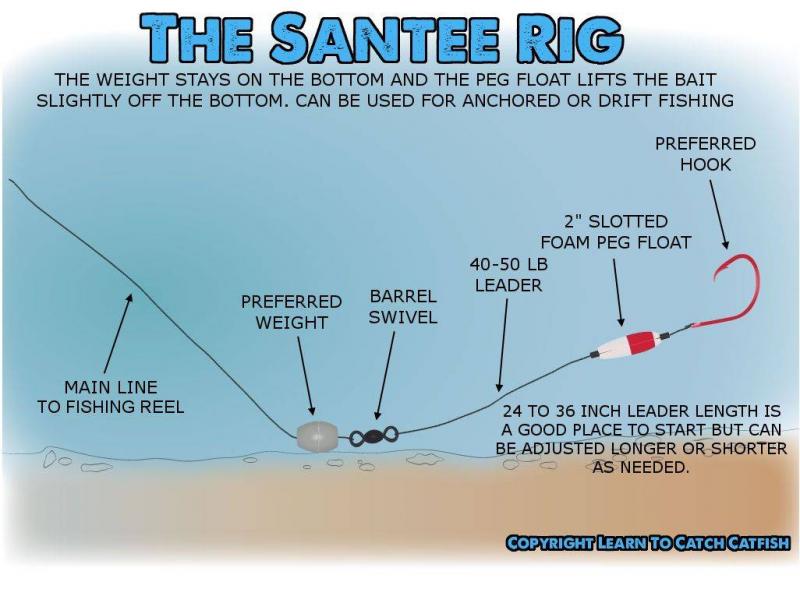 Hooked on Weighing Fish. Here Are 15 Must-Have Googan Squad Scale Features For Serious Anglers