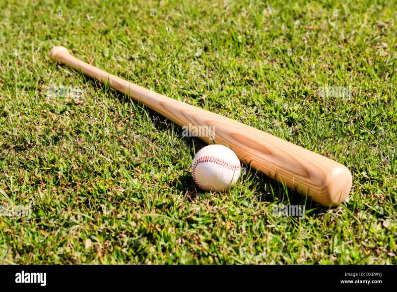 Hot Trends: The Best Wooden Baseball Bats For 2023