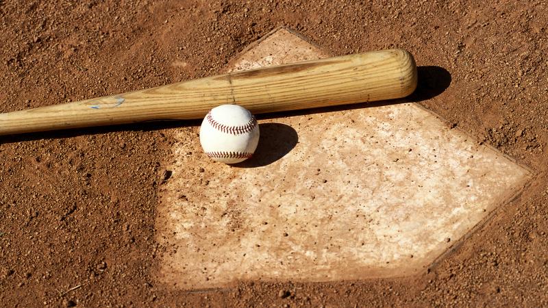 Hot Trends: The Best Wooden Baseball Bats For 2023