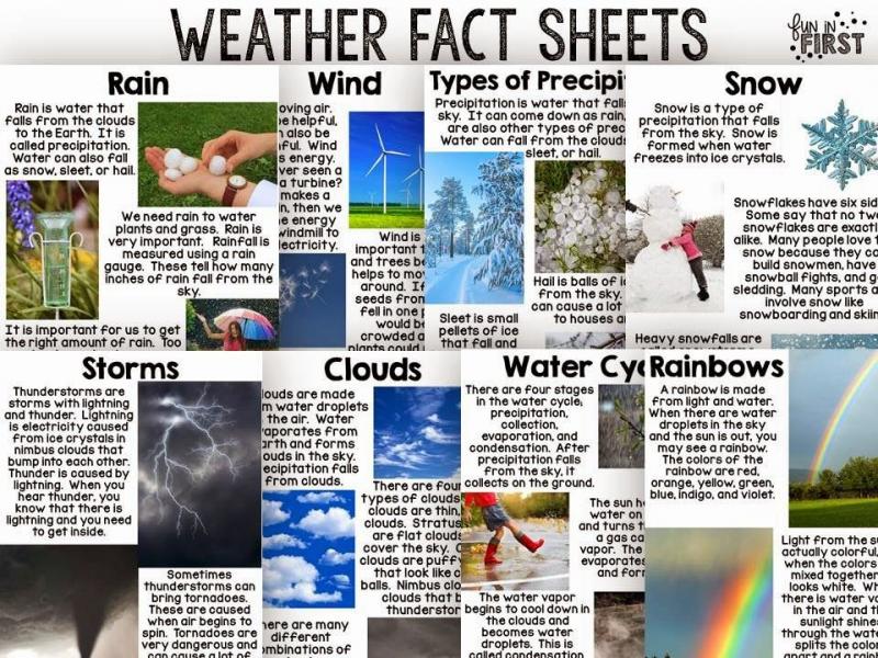 How Can a Wireless Rain Gauge Improve Your Home Weather Forecasting: Why You Need An Accurate and Reliable Rain Measurement Device