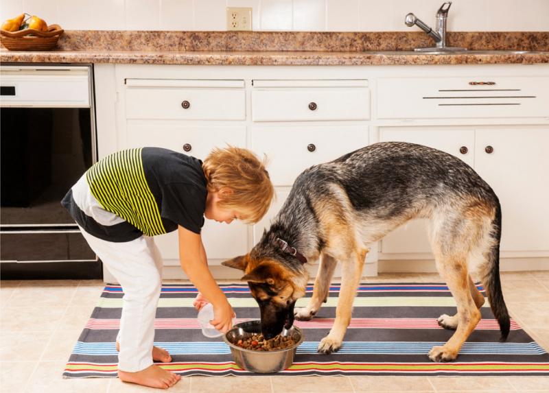 How Can I Easily Register My New Fur Baby in La Crosse, WI. : The 15 Step Guide Pet Parents Need