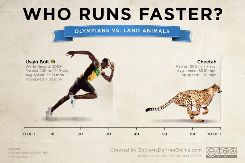 How Fast Are Brooks Running Shoes Compared to Cheetahs: Read This to Discover Which Is Swifter