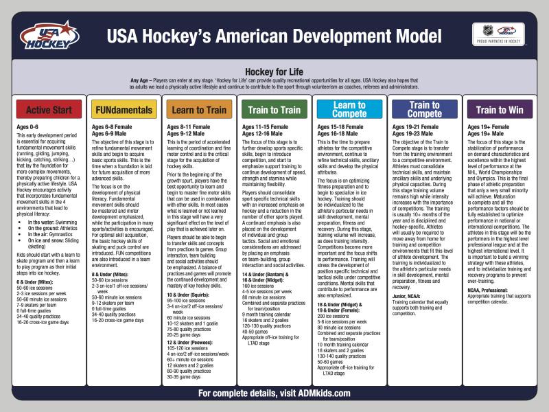 How to Choose the Best Goalie Mesh: 12 Key Factors for Optimal Performance