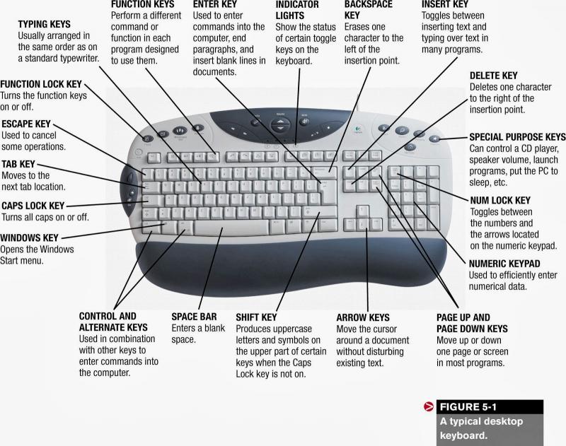 How to Choose the Best Lacrosse Rib Pads for Your Gameplay Needs. 15 Key Factors to Consider