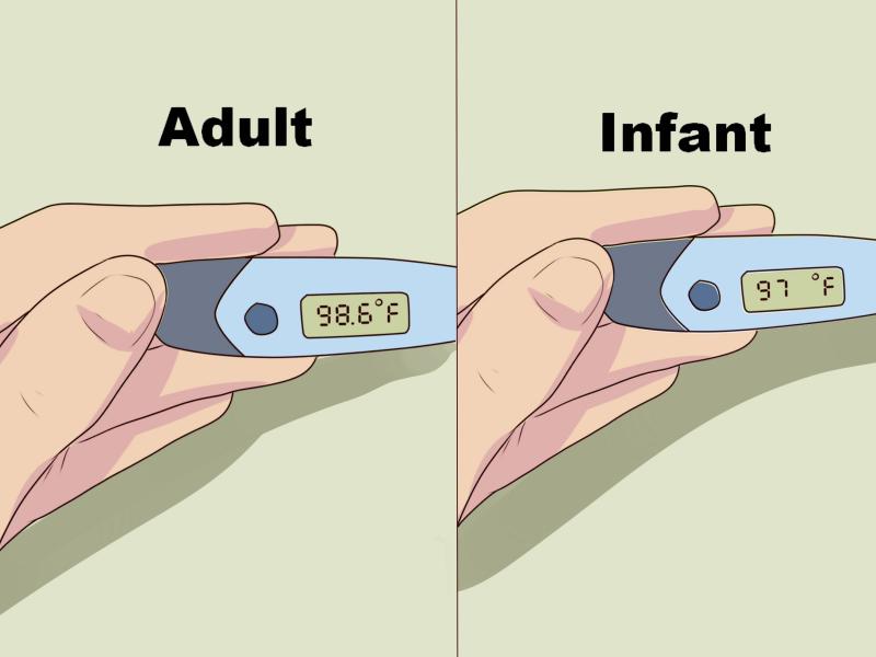 How to Choose the Best Wireless Temperature Sensor in 2023. : The Ultimate Guide to Picking the Right Remote Thermometer For Any Application