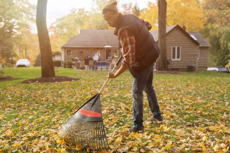 How To Choose The Best Work Shoes For Yardwork in 2023