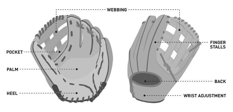 How to choose the perfect softball glove. : The 15-step glove fitting guide