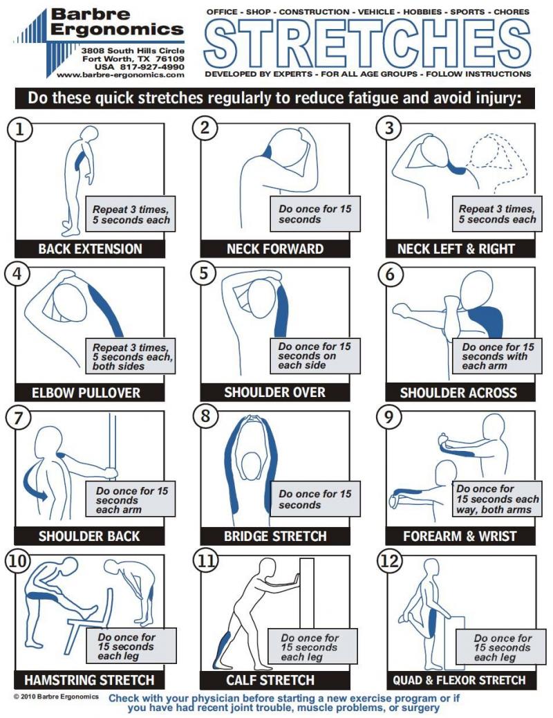 How To Choose The Right Softball Catcher