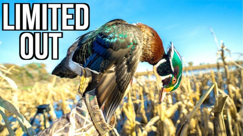 How to Choose Top Waterfowl Hunting Blinds This Year: Get The Most Bang Out of Drake