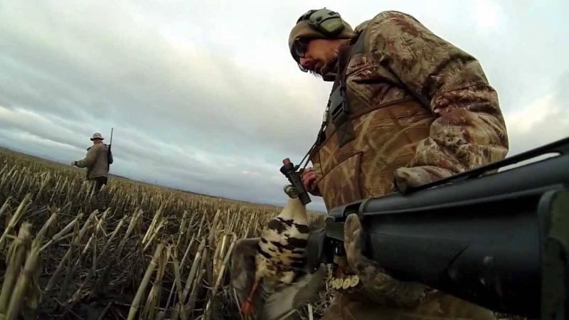 How to Choose Top Waterfowl Hunting Blinds This Year: Get The Most Bang Out of Drake
