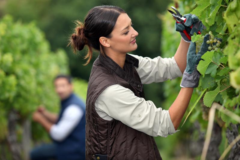 How To Get The Most Out Of Vineyard Vines Gear This Summer