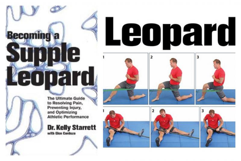 How to Master the Art of Lacrosse Ball Cradling: A 15 Step Guide to Become a Ball Cradling Pro