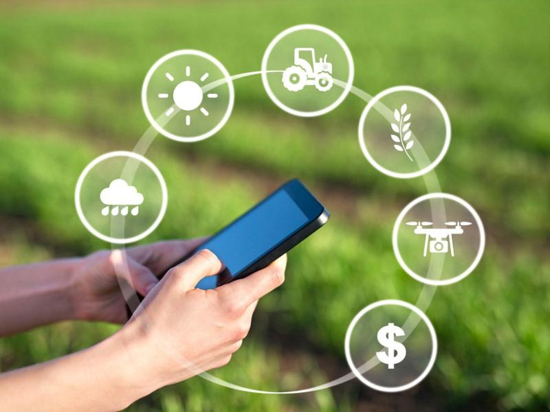 How to Monitor Humidity Levels at Home: The Top 15 Humidity Sensors in 2023