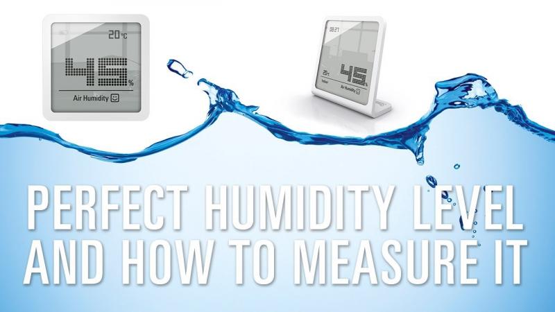 How to Monitor Humidity Levels at Home: The Top 15 Humidity Sensors in 2023