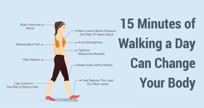 Improve Your Gait: How Adjusting Torque Reduces Head Wobble And Fall Risk