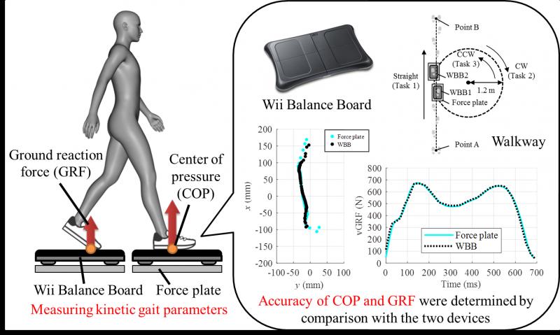 Improve Your Gait: How Adjusting Torque Reduces Head Wobble And Fall Risk