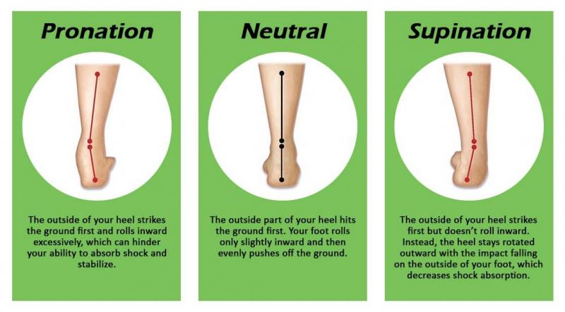 Improve Your Gait: How Adjusting Torque Reduces Head Wobble And Fall Risk