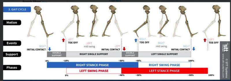 Improving Walking Efficiency and Reducing Injury Risk with Gait Torque Optimization