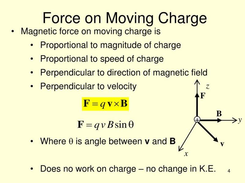 Intrigued Yet. Here are 15 Magnetic Reasons Lacrosse Magnets are a Game Changer