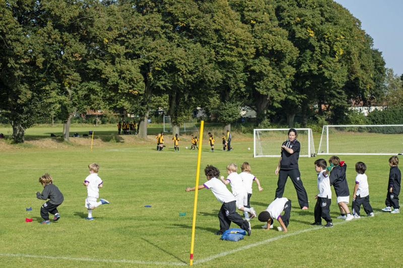 Is Berkeley Preparatory Academy the Best Prep School in Tampa Bay. : Why Families Choose Berkeley Prep for Their Children