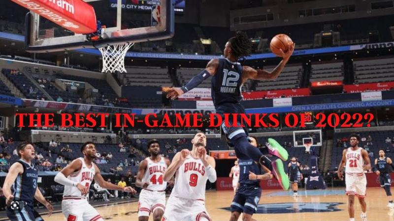Is Goliath the Best Brand for Your Basketball Goal This Year: 15 Must-Know Features of Goliath