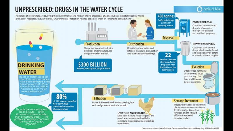 Is LA Tap Water Safe to Drink. The Truth About LA