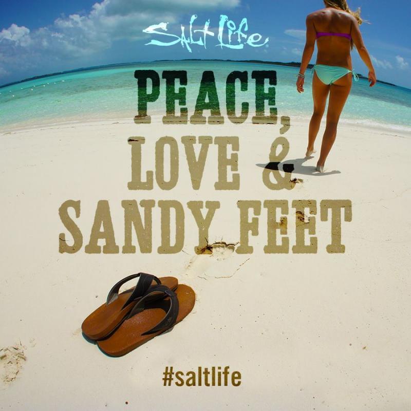 Is Salt Life Blue Crab the Perfect Tee Design for You