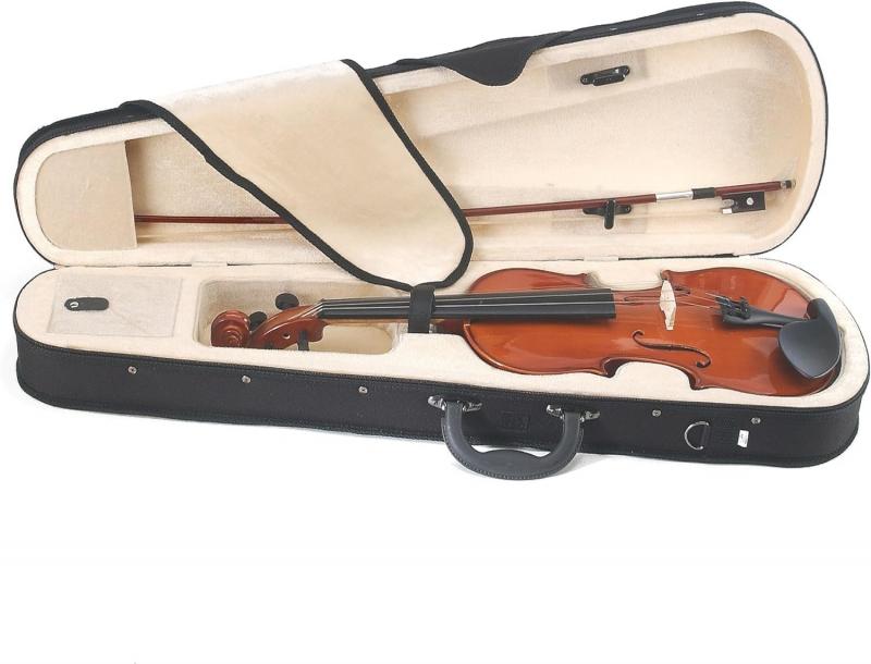 Is the Cecilio CVN-200 a Top Violin for Beginners in 2023. The Answer May Surprise You