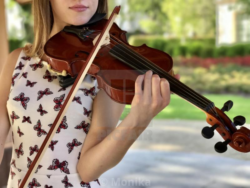 Is the Cecilio CVN-200 a Top Violin for Beginners in 2023. The Answer May Surprise You